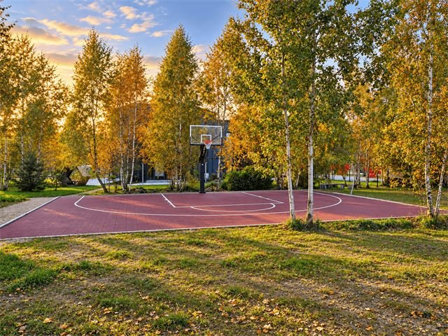 Basketball court among birch trees, Vilnius – 2
