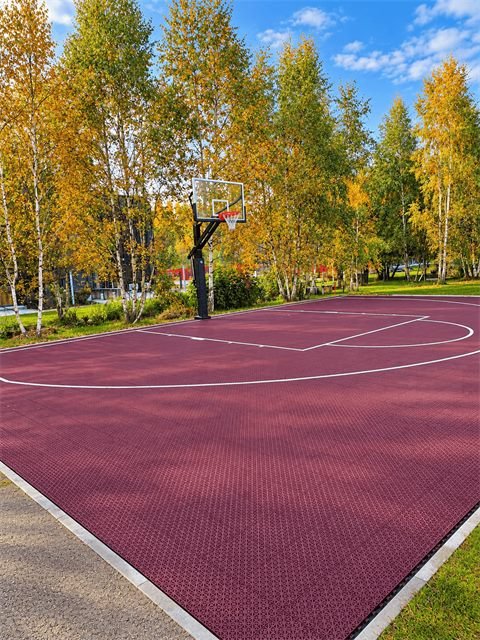 Basketball court among birch trees, Vilnius – 3