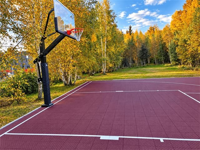 Basketball court among birch trees, Vilnius – 4