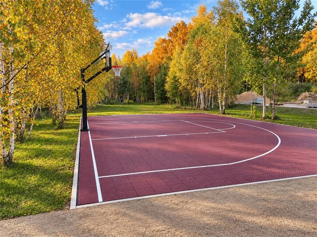 Basketball court among birch trees, Vilnius – 5